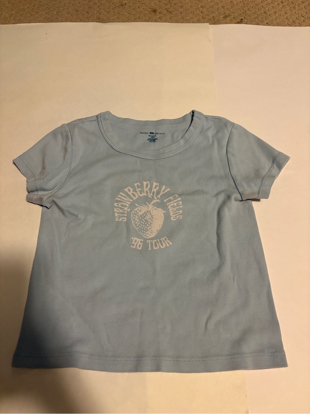 Brandy Melville Light Blue Strawberry Graphic Crop Top